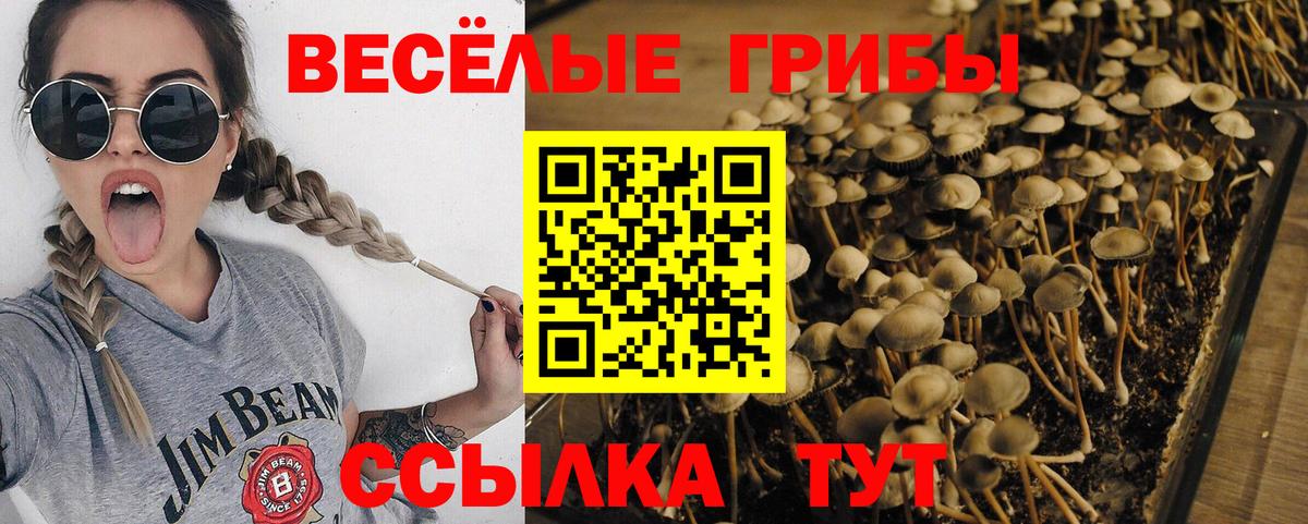 Галлюциногенные грибы Cubensis Углич